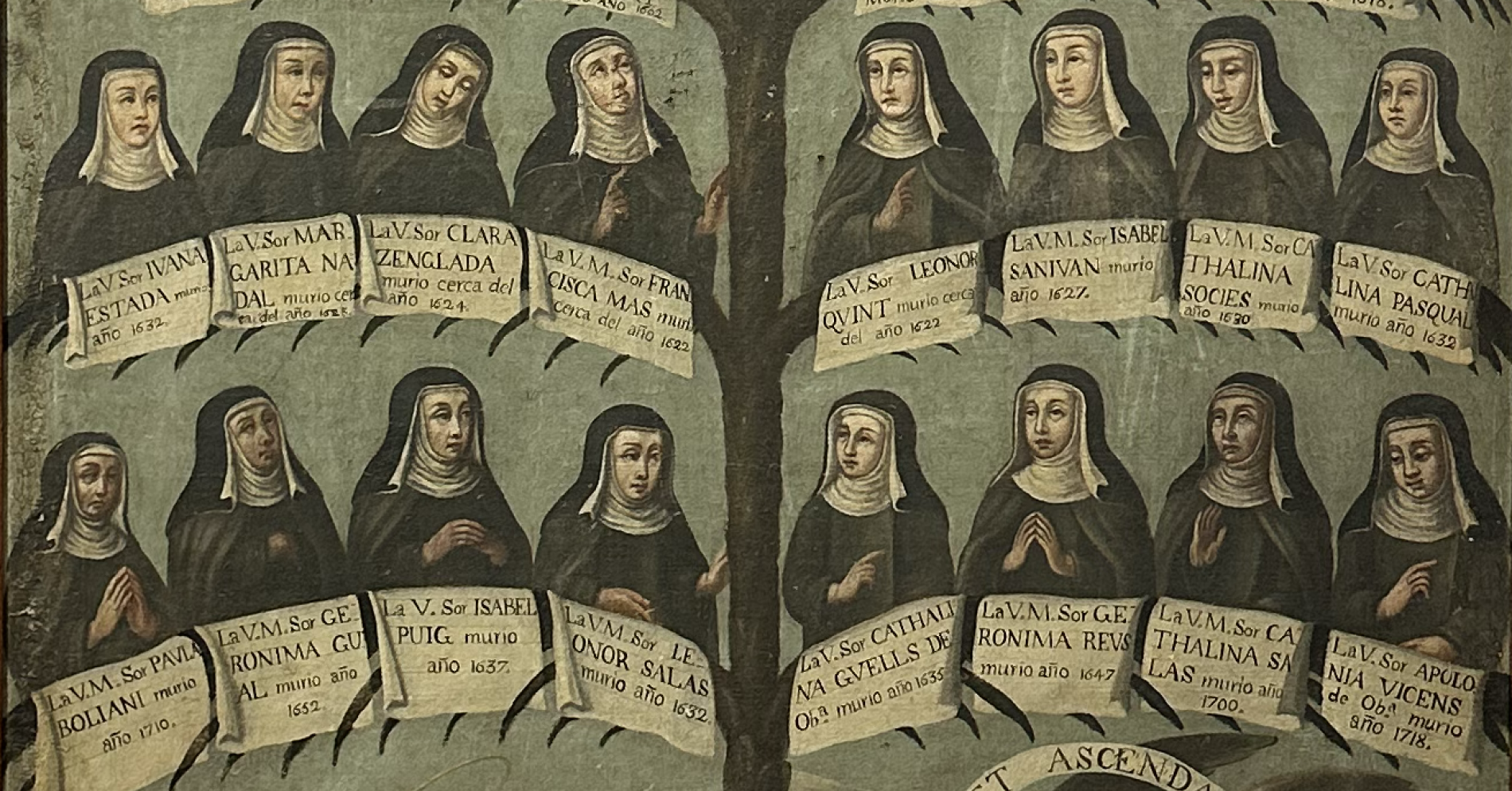 Nova exposició temporal